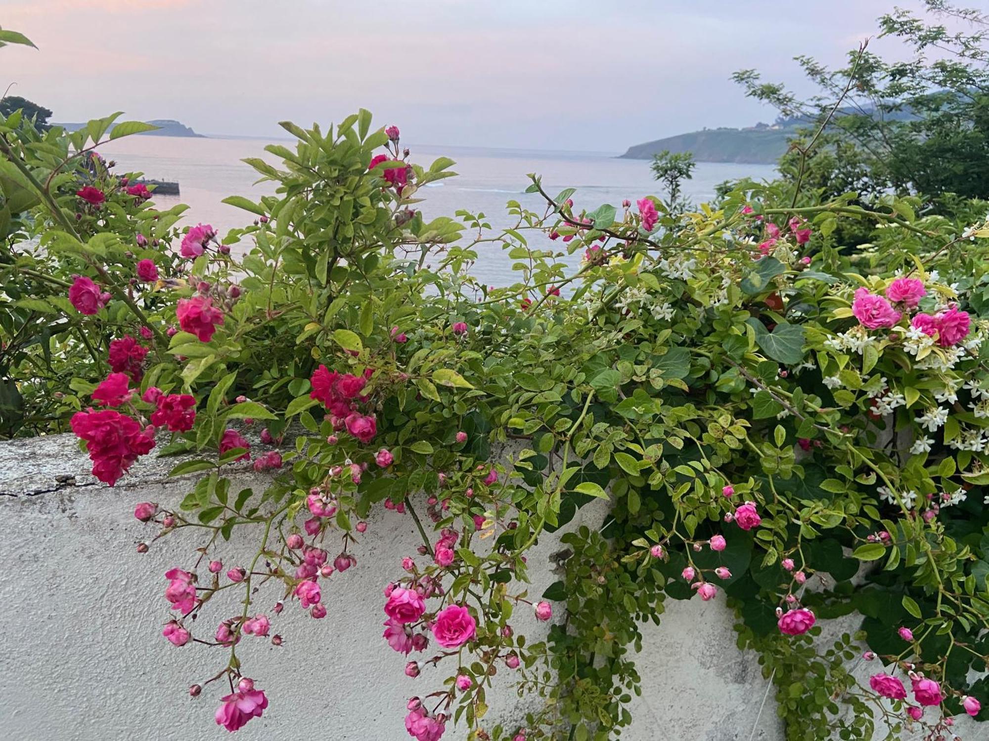 Mundaka Beachfront House المظهر الخارجي الصورة