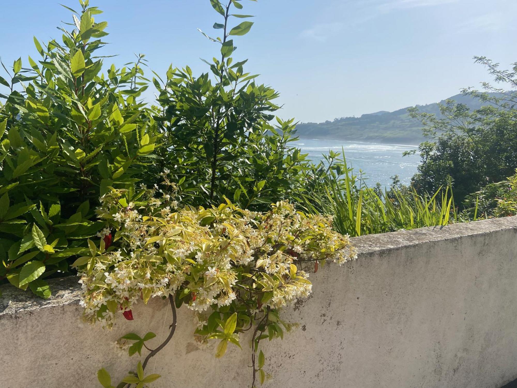 Mundaka Beachfront House المظهر الخارجي الصورة