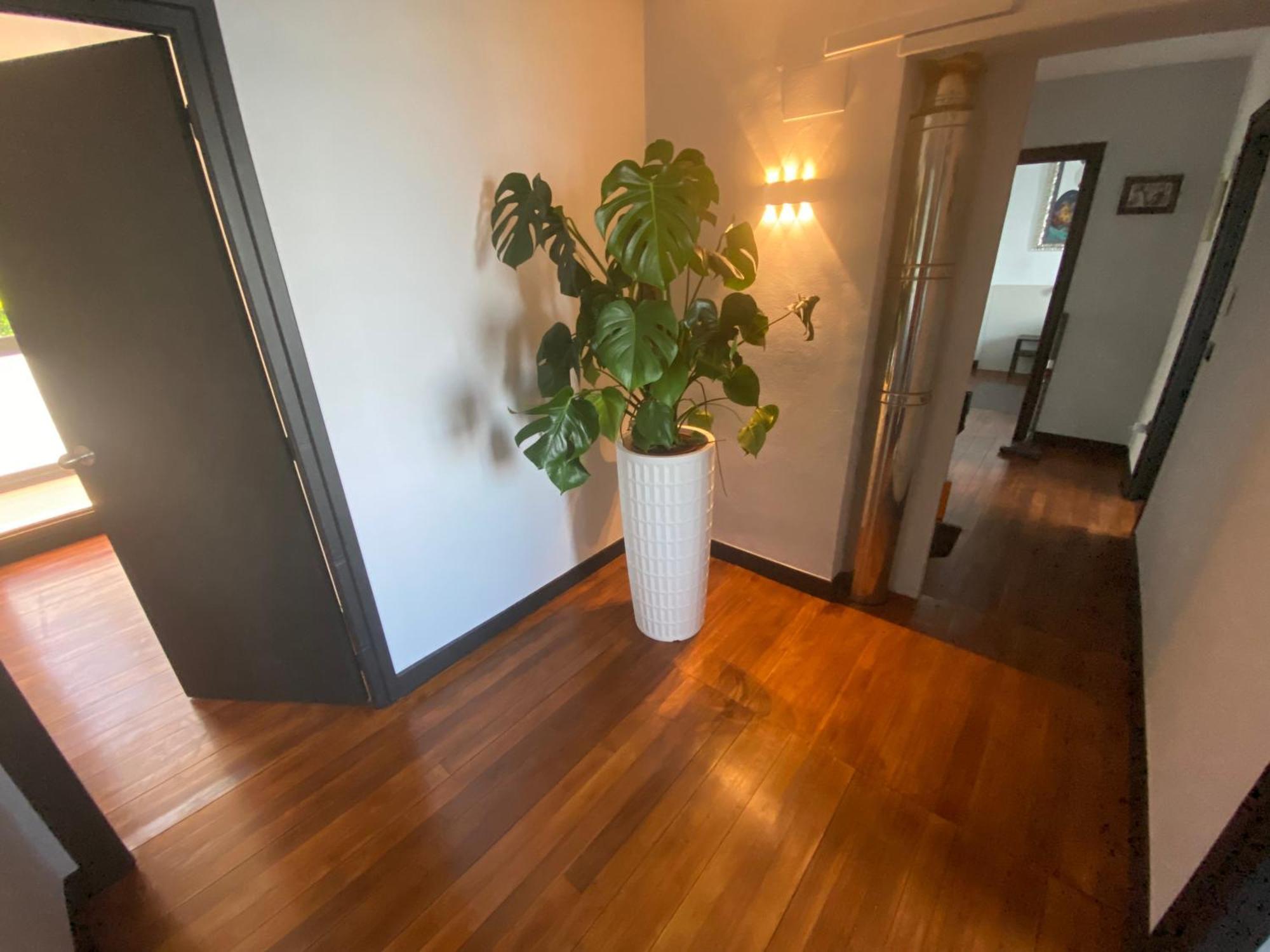 Mundaka Beachfront House المظهر الخارجي الصورة